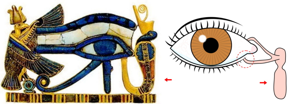 Wedjat Eye of Horus Disc of Sabu Tri Lobed Plate